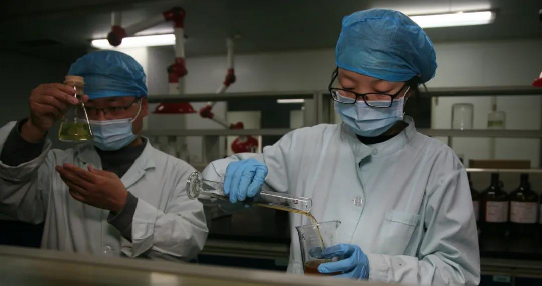 PT视讯(中国区)官网股份 | 复工复产 全力打赢2020疫后经营战