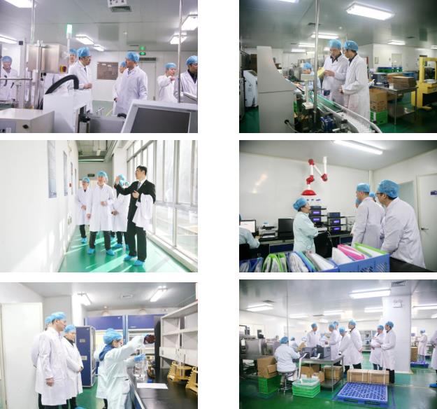 西安市委联合调研组莅临PT视讯(中国区)官网股份考察调研 西安市委联合调研组莅临PT视讯(中国区)官网股份考察调研