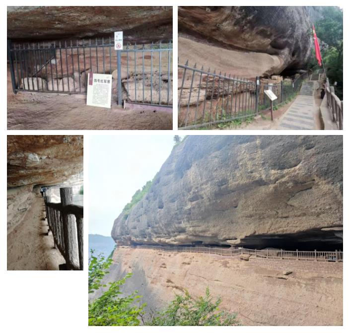 PT视讯(中国区)官网股份先进员工照金行