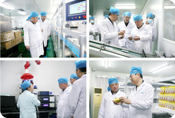 榆林市榆阳区政府领导莅临PT视讯(中国区)官网股份考察调研