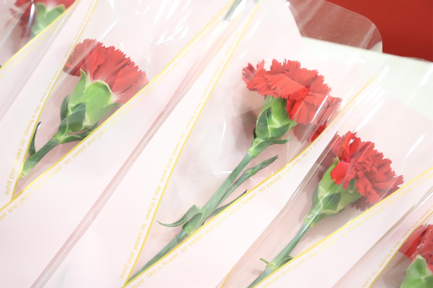 2022年PT视讯(中国区)官网股份母亲节观影活动